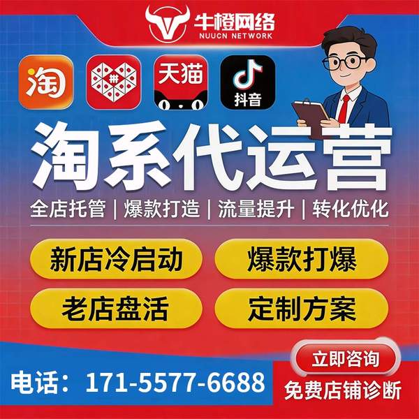 奎屯电商代运营