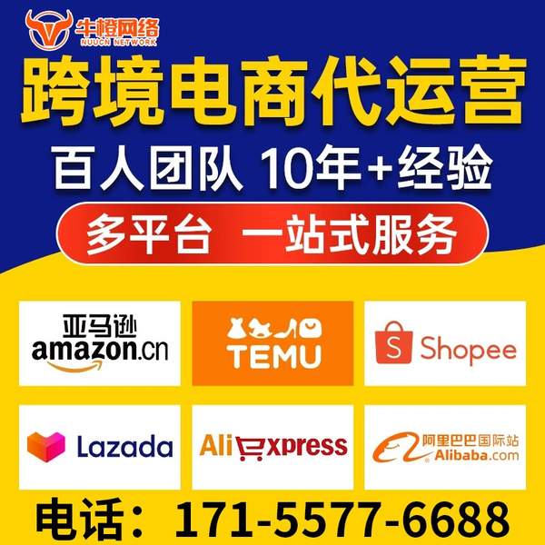 奎屯电商代运营