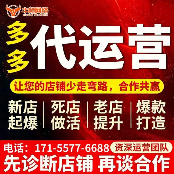 奎屯电商代运营
