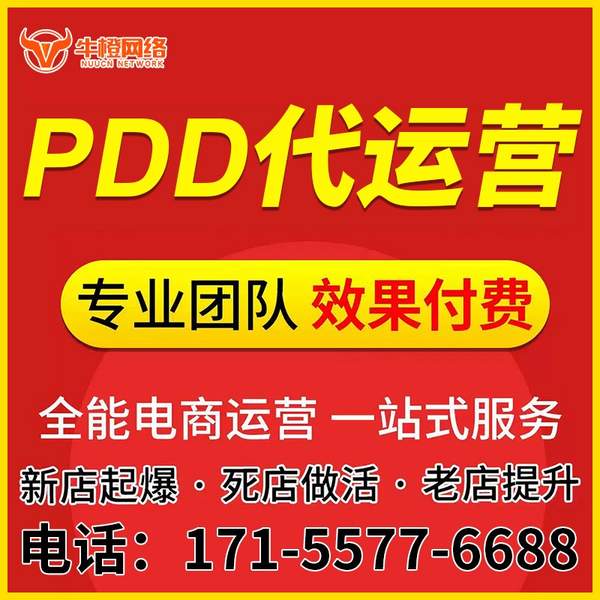 奎屯电商代运营