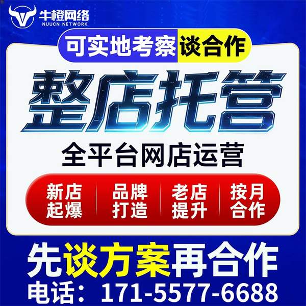 奎屯电商代运营