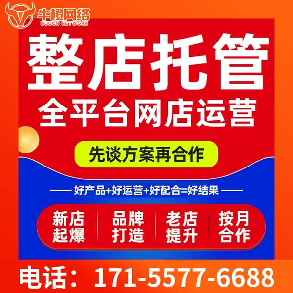 奎屯电商代运营