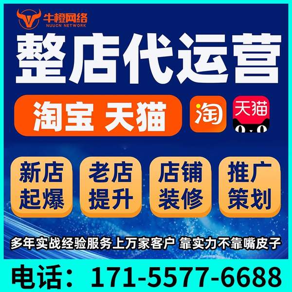 奎屯电商代运营