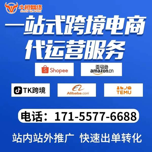 奎屯电商代运营