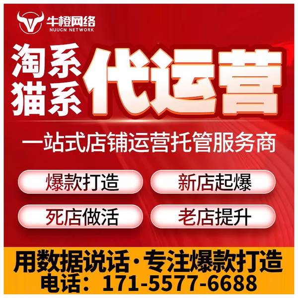 奎屯电商代运营